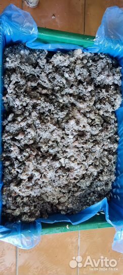 Рубец молотый говяжий