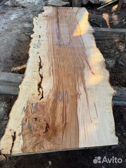 Слэбы капового гигантского чинара в наличии
