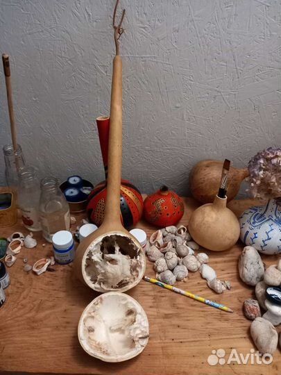 Плоды лагенарии - бутылочной тыквы