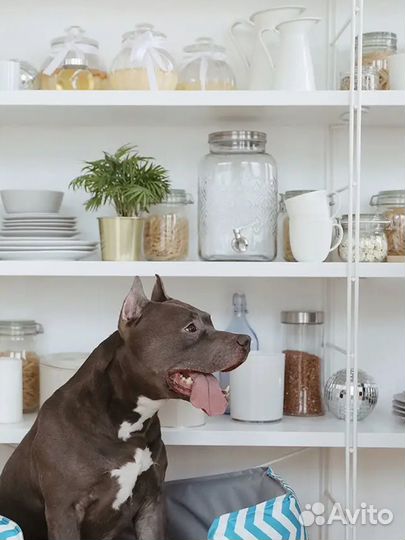 Лежанка для собак