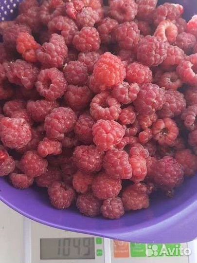 Малина цена за кг.и прочие продукты в описании
