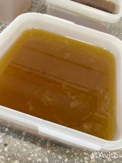 Мёд майский с пасеки