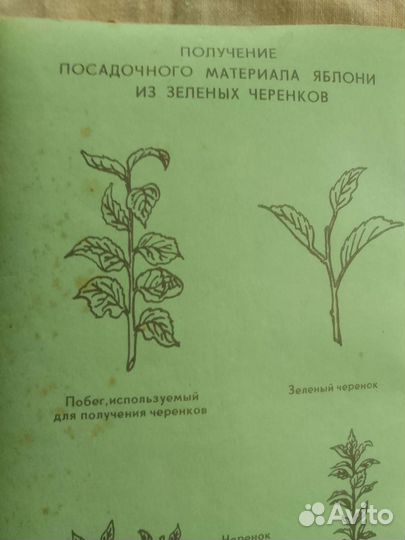 Книги по садоводству