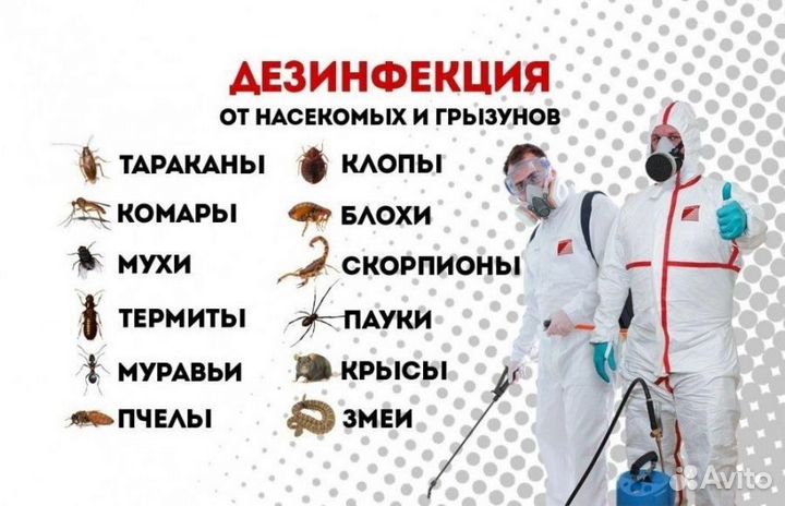 Уничтожение тараканов клопов с гарантией