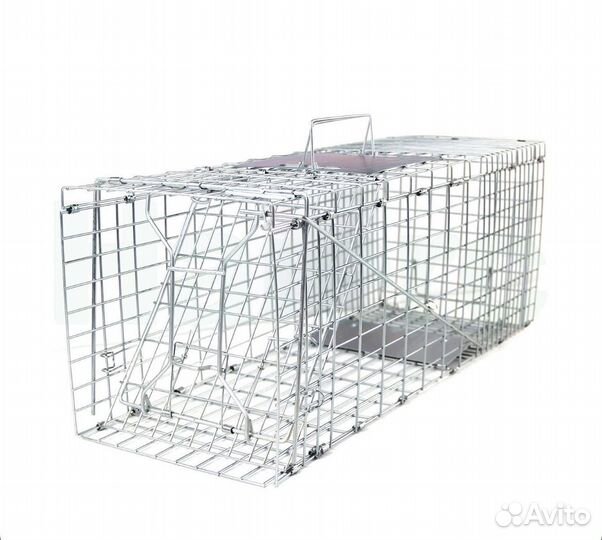 Котоловка аренда