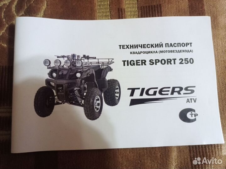 Tiger sport 250