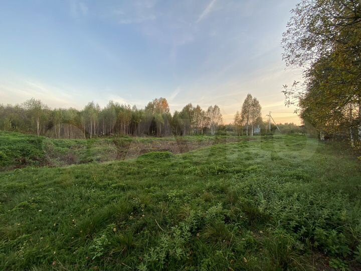 Участок 14 сот. (СНТ, ДНП)