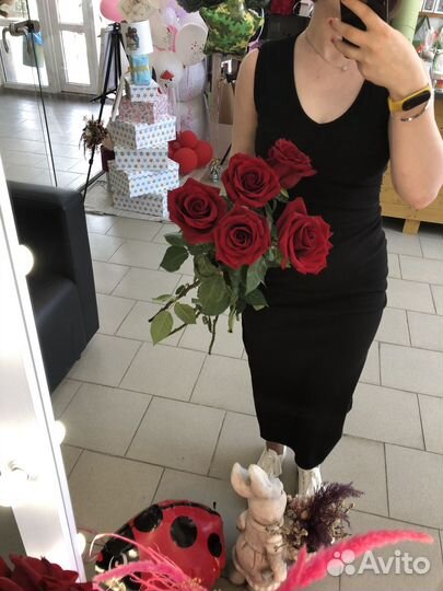 Голландские розы