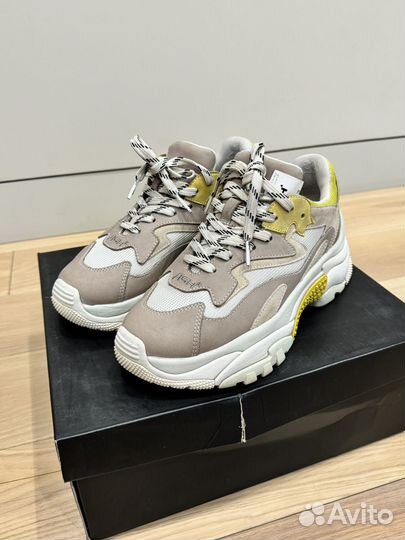 Кроссовки Ash addict