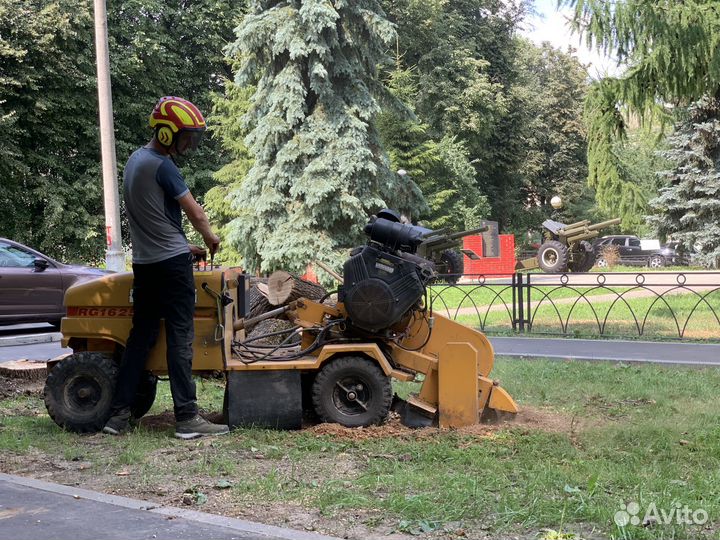 Спилить, удалить деревья, расчистка участка, Лосин