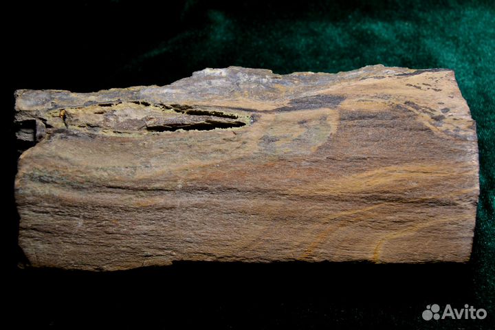 Окаменелое дерево - Малахит