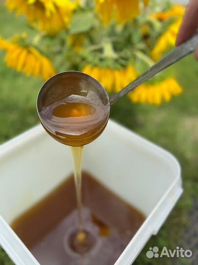 Мёд