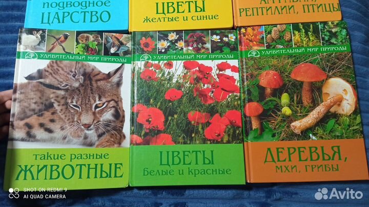 Набор книг детский 