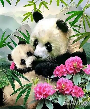 Картина по номерам 40x50 Семейная идиллия панд