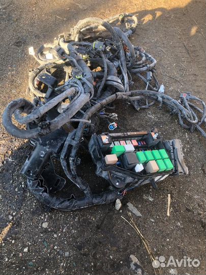 Коса Hyundai Solaris