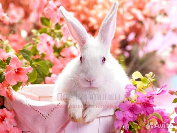 Алмазная мозаика 21x25 Белый кролик среди розовых