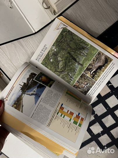 В мире дикой природы. Энциклопедии. 5 томов