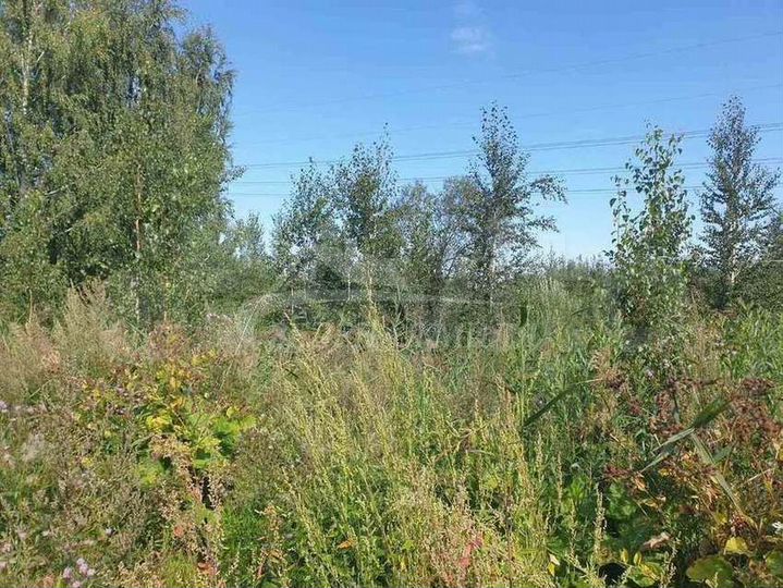 Участок 8,5 сот. (ИЖС)