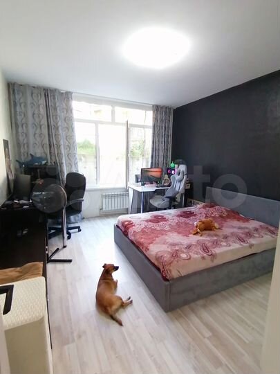 1-к. квартира, 28,9 м², 2/13 эт.