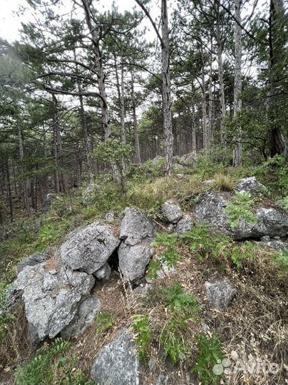 Экскурсии по Крыму