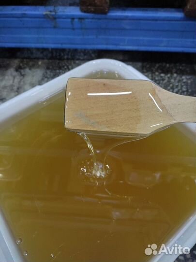 Натуральный мёд акация Качка 2023 Только опт