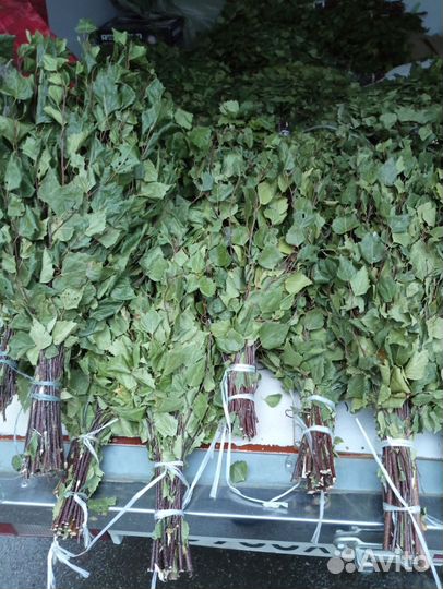 Веники для бани