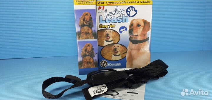 Поводок Ошейник 2в1 Lucky Leash Для собак до 15кг