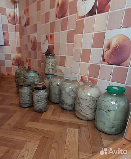 Грибы грузди соленые