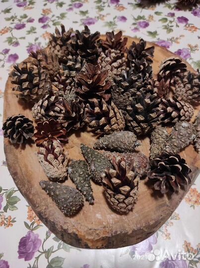 Деревянный дизайн