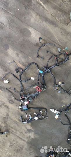 Проводка Sandero Stepway 2 1.6 16кл вся