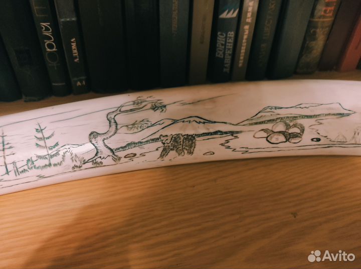 Клык(бивень) моржа(имитация)