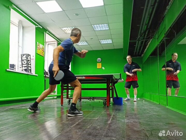 Настольный теннис