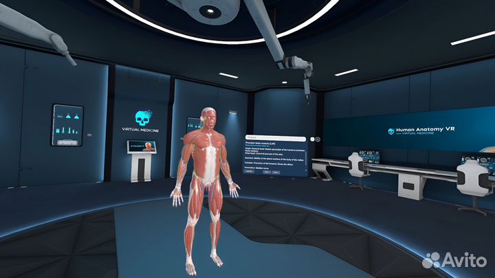 Human Anatomy VR2 PS5