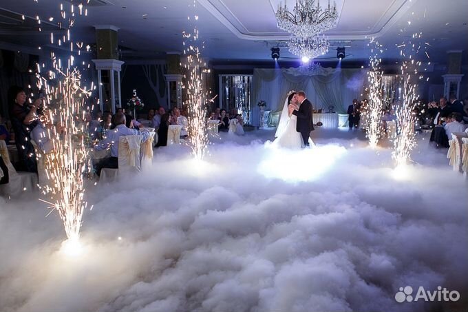 Свадьба Будущего ведущий оформление свадьбы