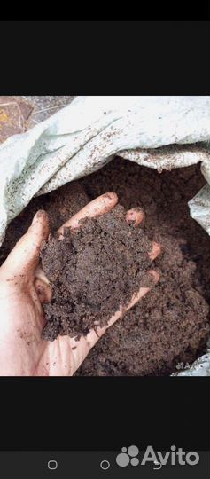 Навоз удобрения