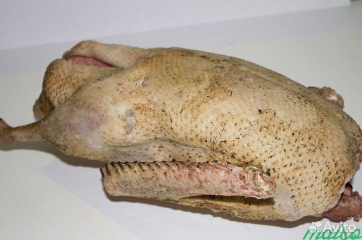 Утка домашняя мясо