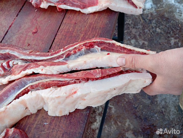 Откорм Лошадей