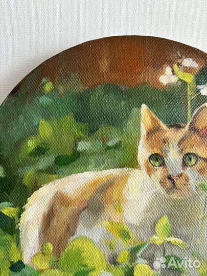 Котик. Холст на подрамнике. Картина маслом
