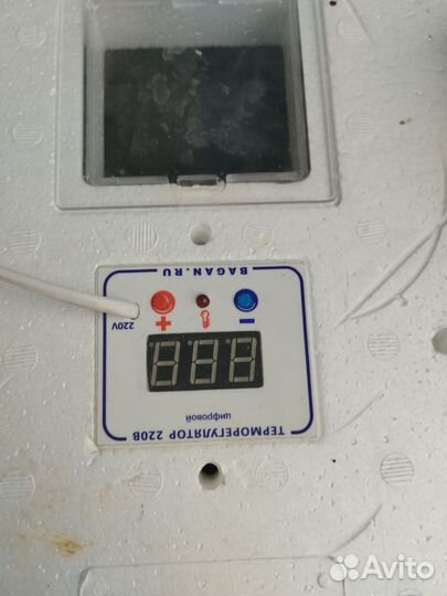 Инкубатор для яиц автоматический бу