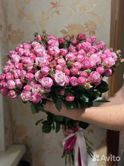 Розы кустовые эквадор