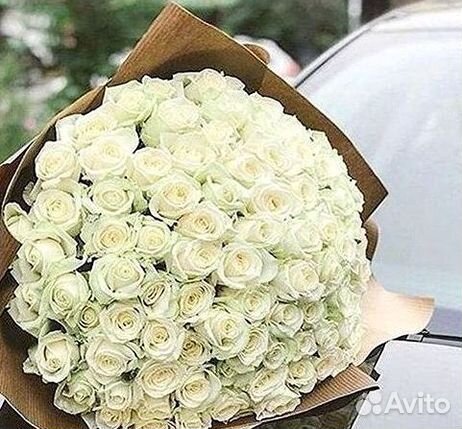 101 Роза Цветы Букеты 51 25 Роз Доставка