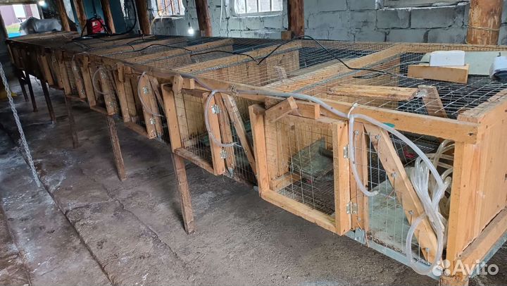 Клетки для кроликов