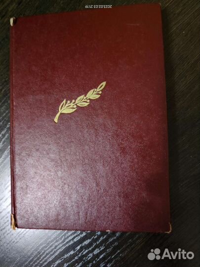 Дочери России