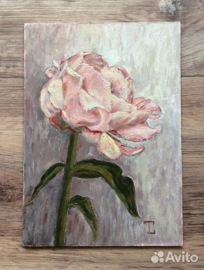 Пион картина маслом миниатюра