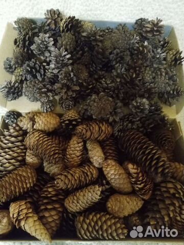 Шишки, посуда, горшочки и всякое