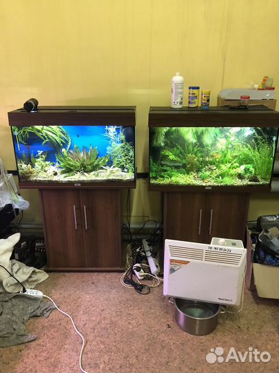 Аквариум Juwel Rio 125, 450