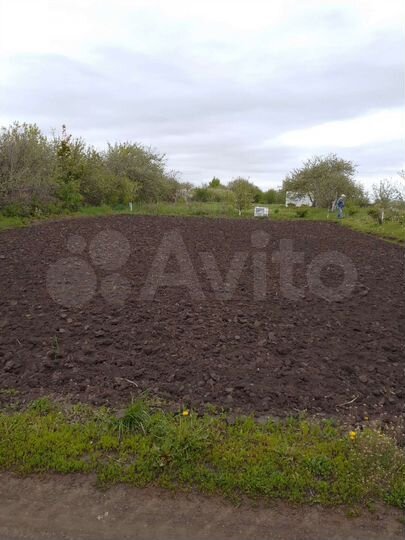 Участок 5,5 сот. (СНТ, ДНП)