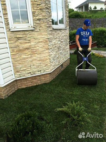 Рулонный газон