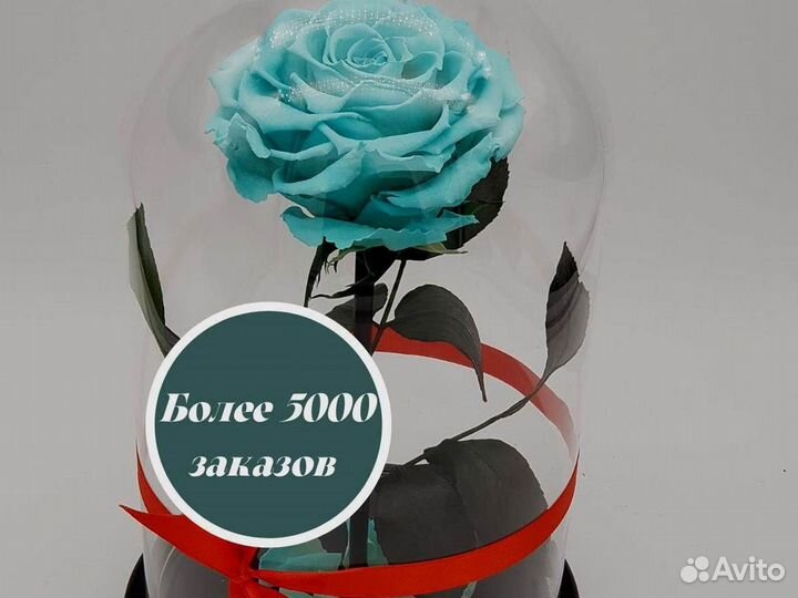 Роза в колбе