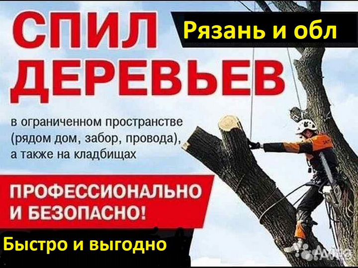 Спил деревьев